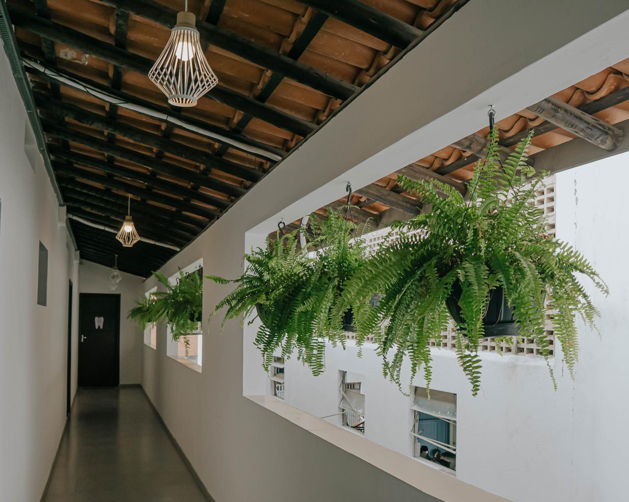 Corredor com plantas